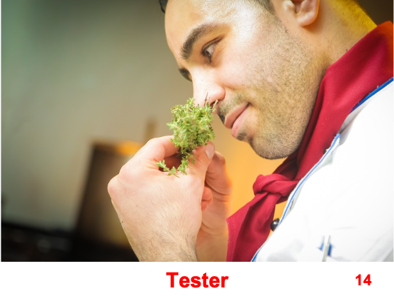 14 Tester