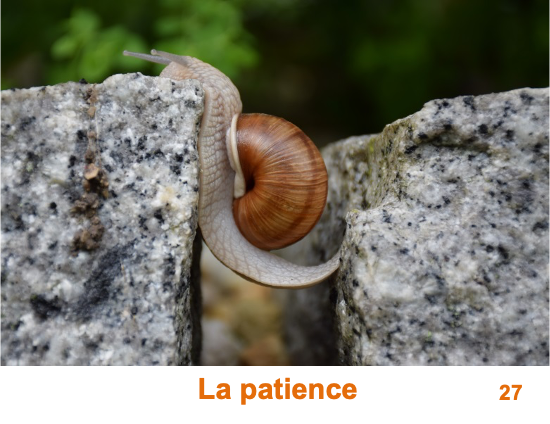 27 La patience
