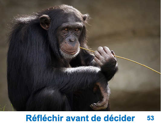 53 Réfléchir avant de décider